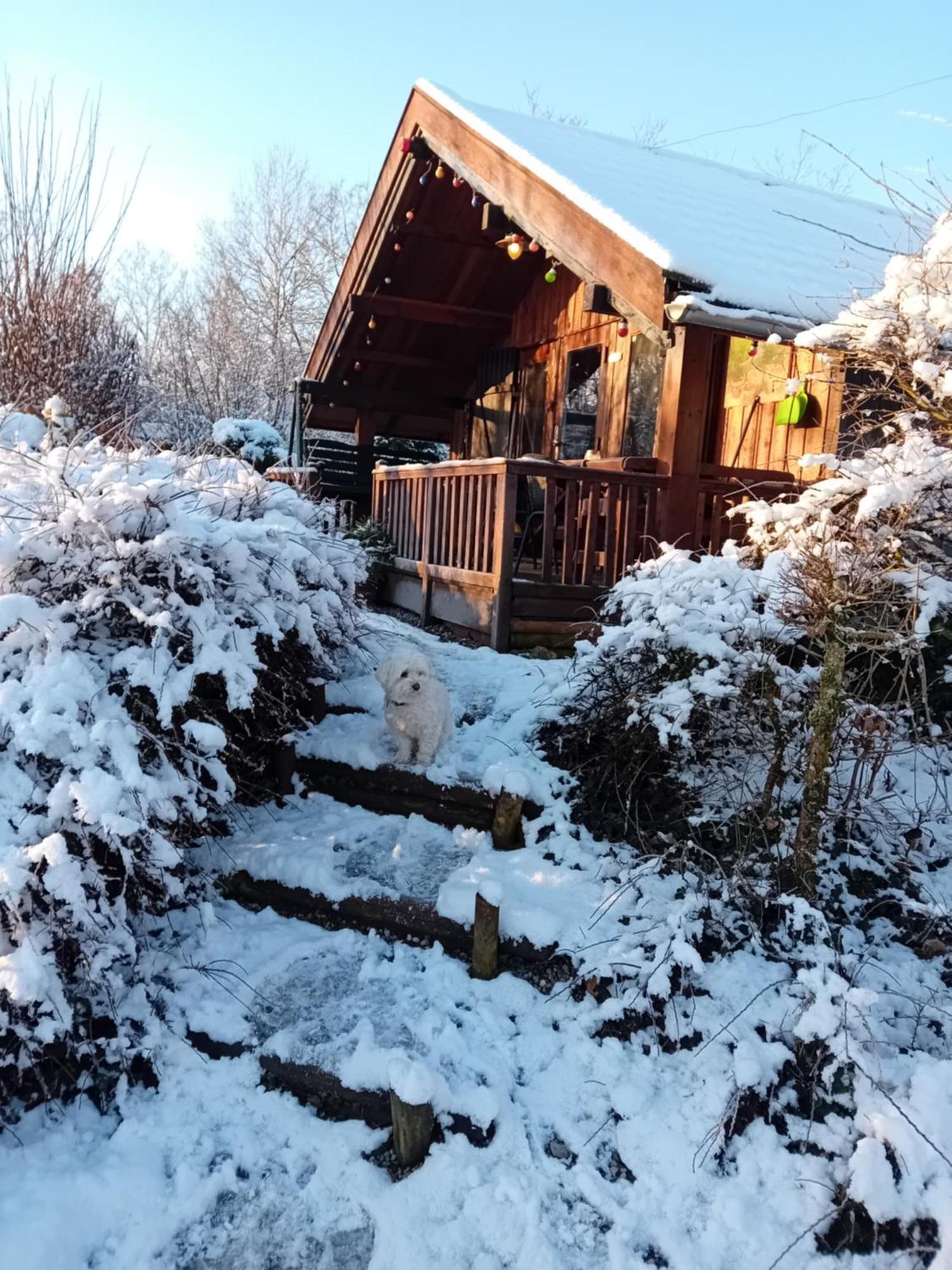 Chalet Barvaux Met Grote Tuin Durbuy Buitenkant foto